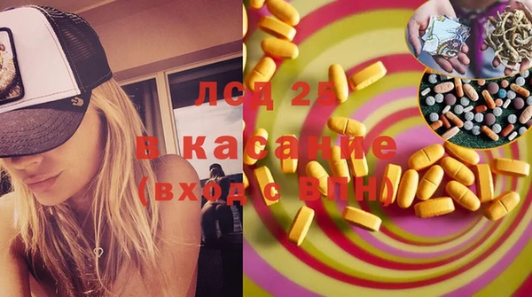 ПСИЛОЦИБИНОВЫЕ ГРИБЫ Алексин