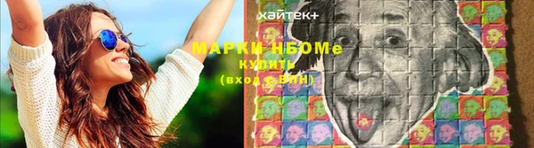 ПСИЛОЦИБИНОВЫЕ ГРИБЫ Алексин